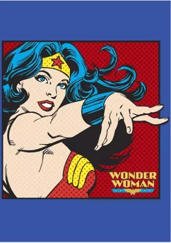 Wonder Woman™ Frame Graphic Crew Fleece Sweatshirt -Fox Run Kitchenware Shop Belk 218