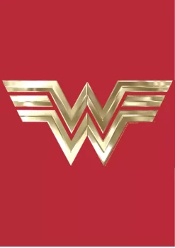 Wonder Woman™ Metallic Logo Graphic Hoodie -Fox Run Kitchenware Shop Belk 281