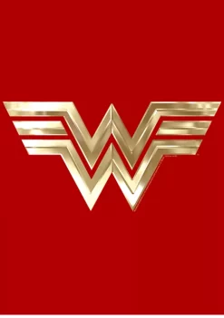 Wonder Woman™ Metallic Logo Graphic T-Shirt -Fox Run Kitchenware Shop Belk 289