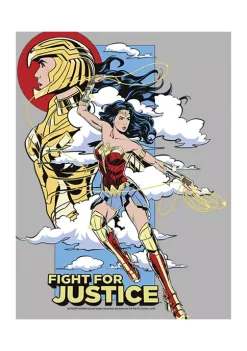 Wonder Woman™ Fight For Justice Graphic Hoodie -Fox Run Kitchenware Shop Belk 294