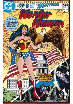 Wonder Woman™ Comic Graphic Hoodie -Fox Run Kitchenware Shop Belk 313