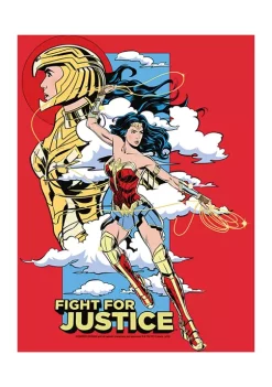 Wonder Woman™ Fight For Justice Graphic T-Shirt -Fox Run Kitchenware Shop Belk 392