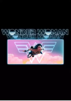 Wonder Woman™ Flight Graphic T-Shirt -Fox Run Kitchenware Shop Belk 494