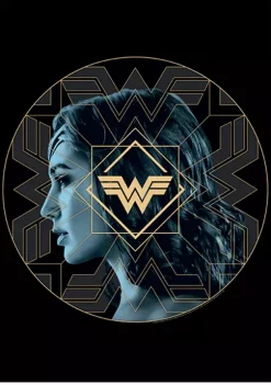 Wonder Woman™ Wire Graphic T-Shirt -Fox Run Kitchenware Shop Belk 549