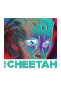 Wonder Woman™ 3D Cheetah Face Graphic T-Shirt -Fox Run Kitchenware Shop Belk 553