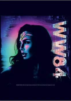 Wonder Woman™ Colorful Profile Graphic T-Shirt -Fox Run Kitchenware Shop Belk 559