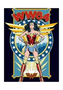 Wonder Woman™ WW84 Graphic T-Shirt -Fox Run Kitchenware Shop Belk 565